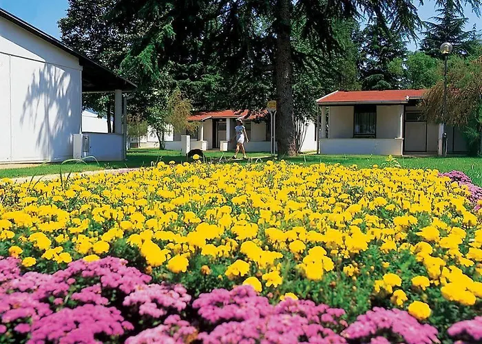 호텔 Garden Park Plava Laguna 4*